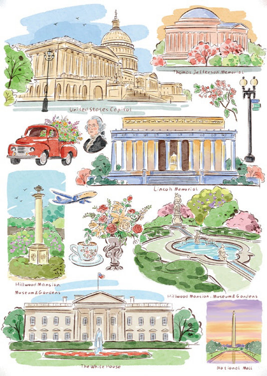 BUBBLE PUZZLE - A Random Walk Down Washington - 1000 Piece Puzzle, city map, travel