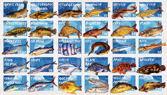 BUBBLE PUZZLE - Fishes Illustrated - 1000 Piece Puzzle, education