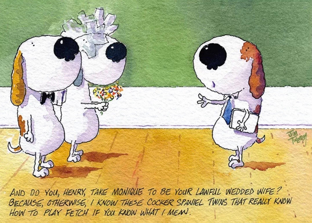 SEREN ART - Wedding Day - 500 Piece Puzzle, Cartoon of two dogs in wedding attire with text about playing fetch, Jim Tweedy, romantic